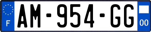 AM-954-GG
