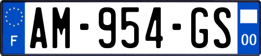 AM-954-GS