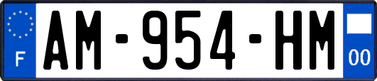 AM-954-HM