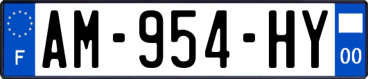 AM-954-HY