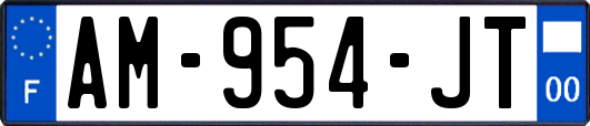 AM-954-JT