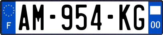 AM-954-KG