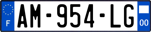 AM-954-LG