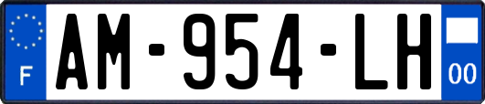 AM-954-LH