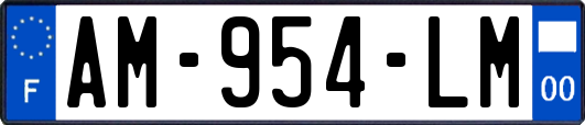 AM-954-LM