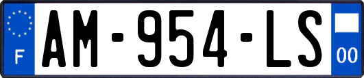 AM-954-LS