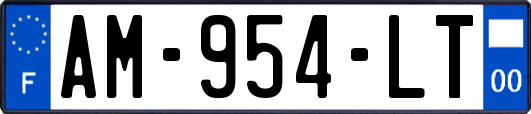 AM-954-LT