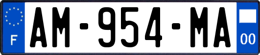 AM-954-MA