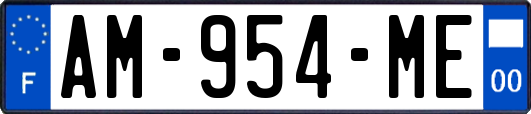 AM-954-ME