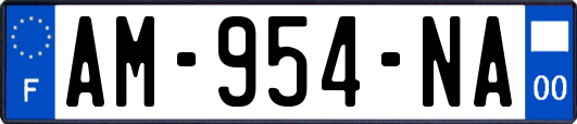 AM-954-NA