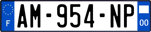 AM-954-NP
