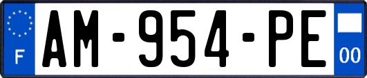 AM-954-PE