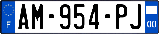 AM-954-PJ