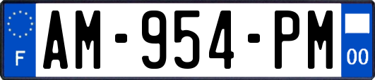 AM-954-PM
