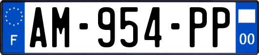 AM-954-PP