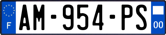 AM-954-PS