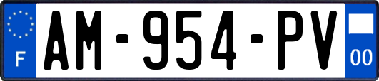 AM-954-PV