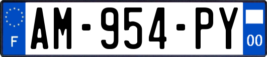 AM-954-PY