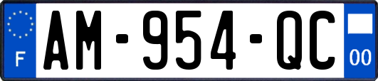 AM-954-QC