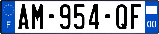 AM-954-QF