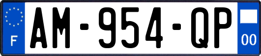AM-954-QP