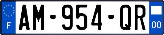 AM-954-QR