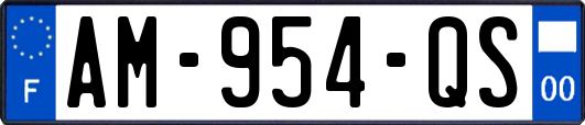 AM-954-QS