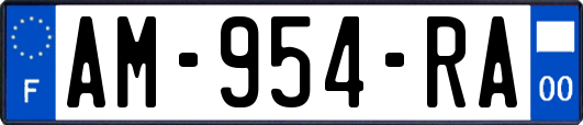 AM-954-RA