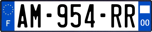 AM-954-RR