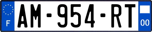 AM-954-RT