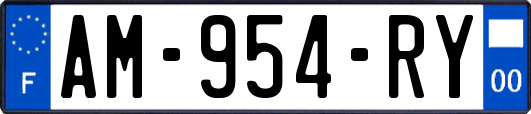 AM-954-RY