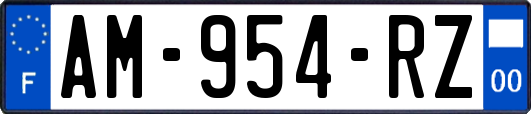 AM-954-RZ