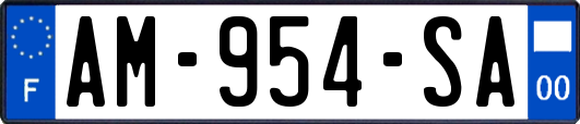 AM-954-SA