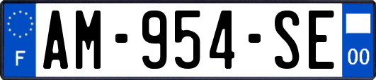 AM-954-SE
