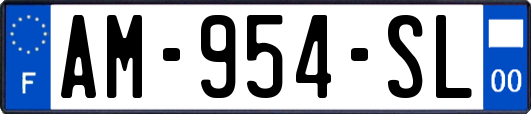 AM-954-SL