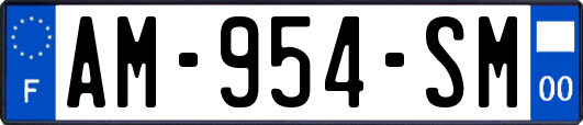 AM-954-SM