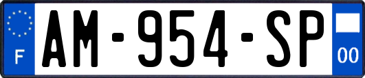 AM-954-SP