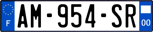 AM-954-SR