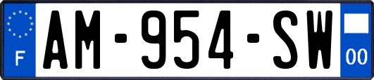 AM-954-SW