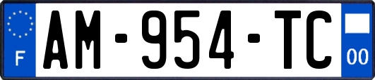 AM-954-TC
