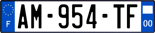 AM-954-TF
