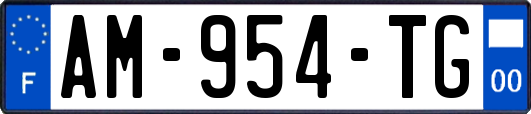 AM-954-TG