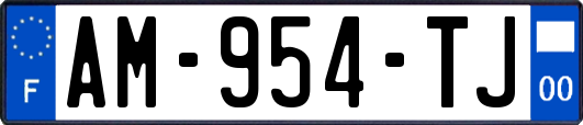 AM-954-TJ