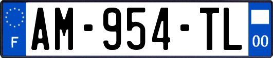 AM-954-TL