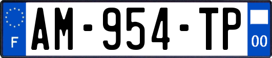 AM-954-TP
