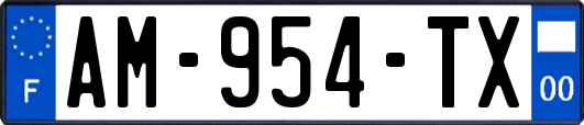 AM-954-TX