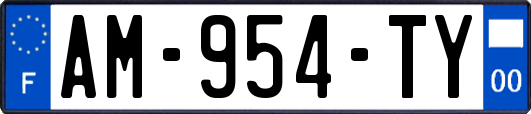 AM-954-TY