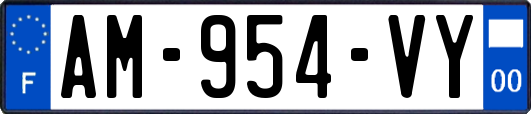AM-954-VY