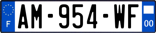 AM-954-WF