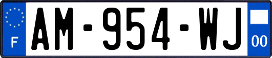 AM-954-WJ
